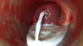 Sex Gay Porn 4